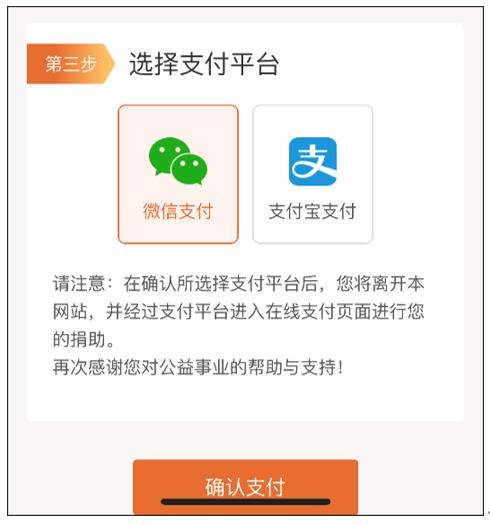 图4 在线捐款第三步支付平台
